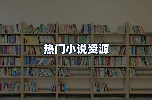 热门小说资源